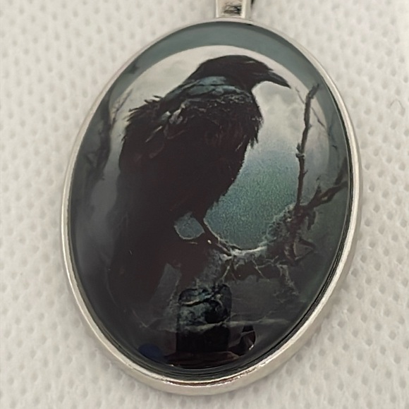 Black Raven Necklace Bird Pendant Silver Colour Unisex Mens Womens Jewellery - Picture 2 of 5